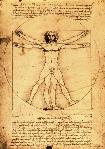 Vitruvian Man - leonardo da Vinci